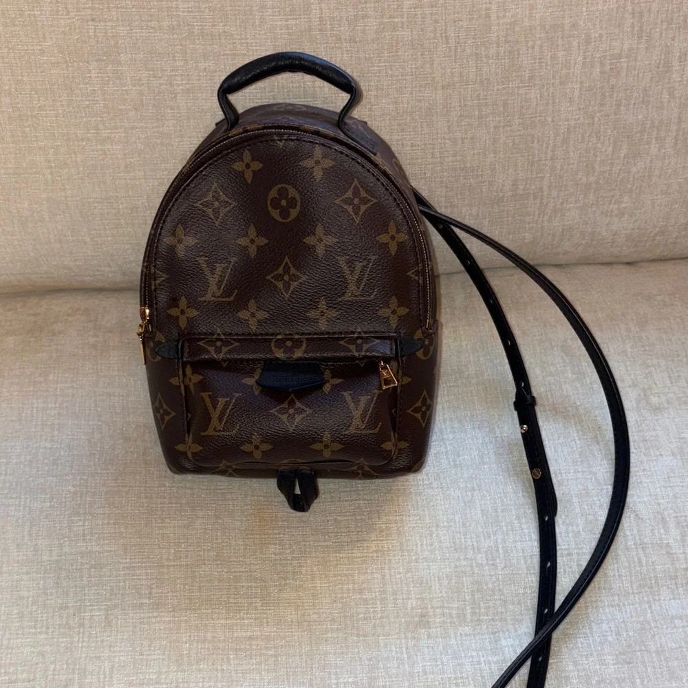 Louis Vuitton Monogram Palm Springs Mini Backpack - Picture 1 of 8